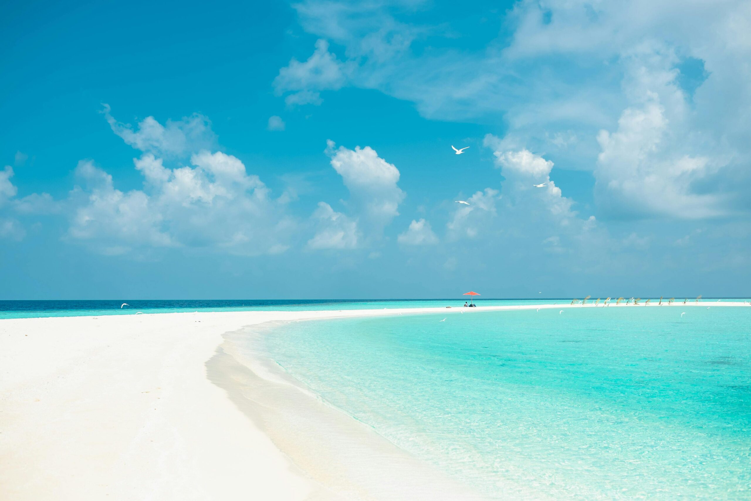 Private Jet Price from NYC to the Bahamas