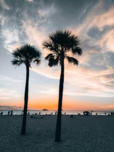 Daytona-Beach-sunrise-with-palm-trees-—-private-jet-charter-destination-scaled.jpg