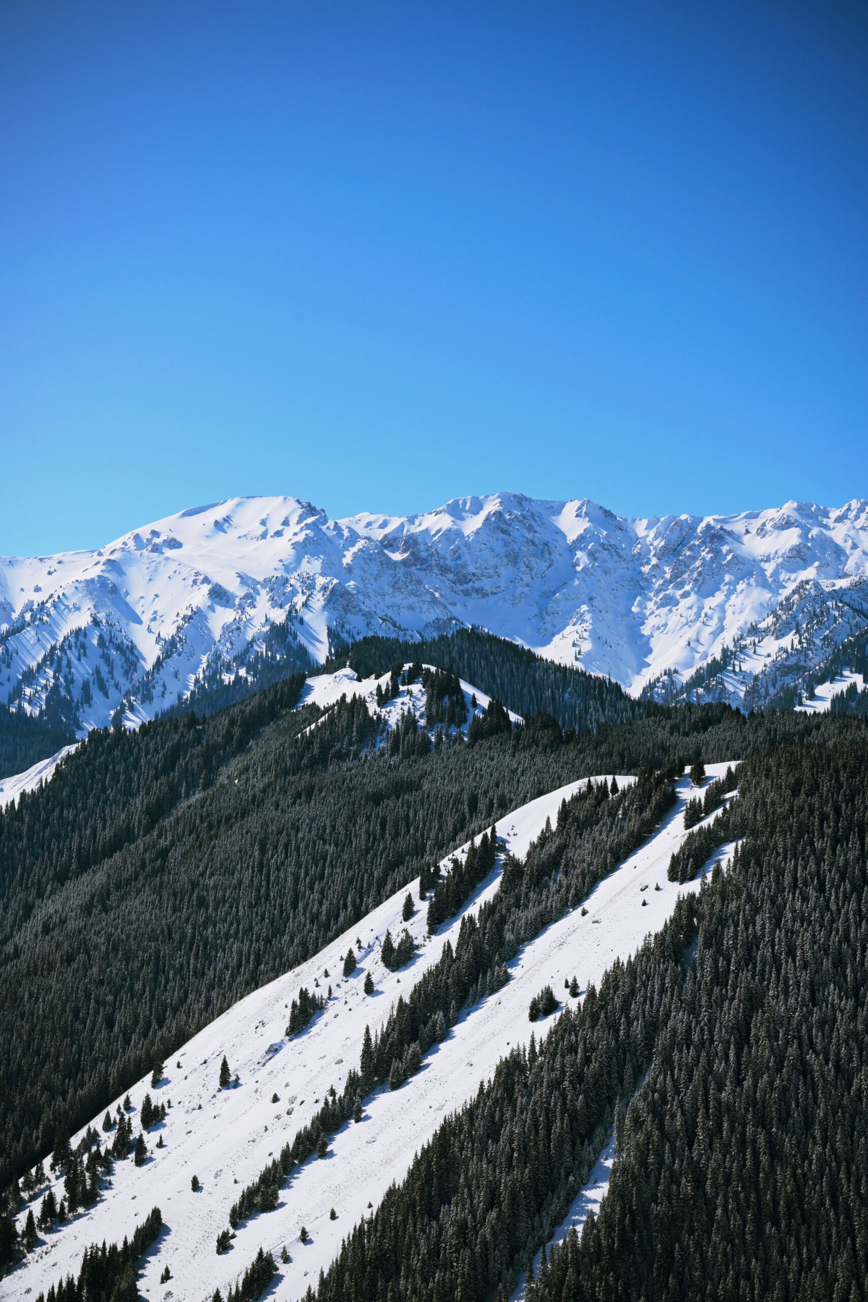 Private-Jet-Charter-Aspen-Rocky-Mountains-and-ski-slopes-scaled.jpg